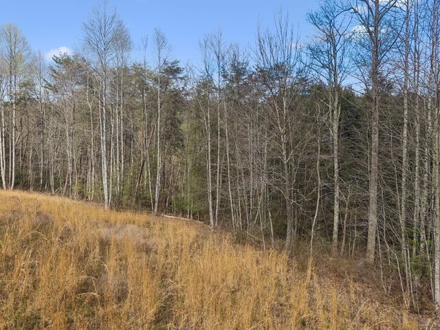 0 Walden Drive Lot 27, Signal Mountain, TN 37377