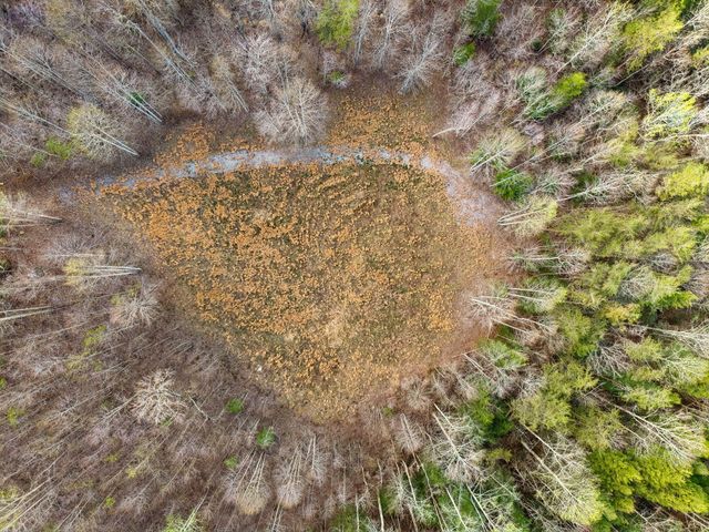 0 Walden Drive Lot 27, Signal Mountain, TN 37377
