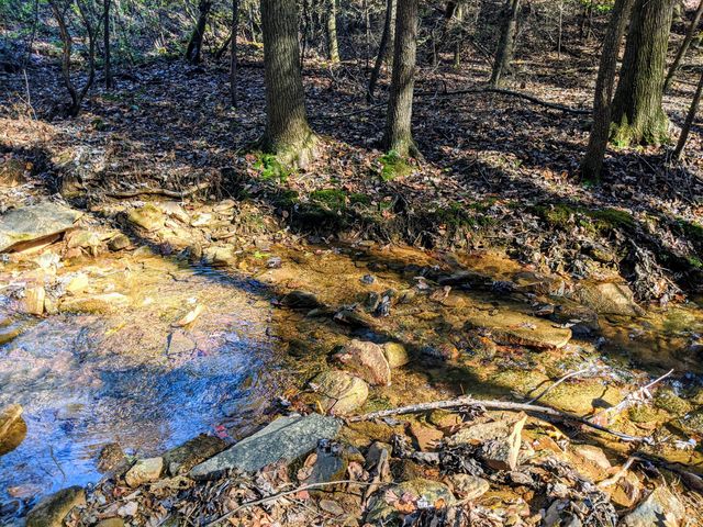 0 Walden Drive Lot 27, Signal Mountain, TN 37377