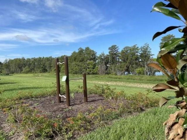 12118 PLUMPTON DRIVE, Winter Garden, FL 34787