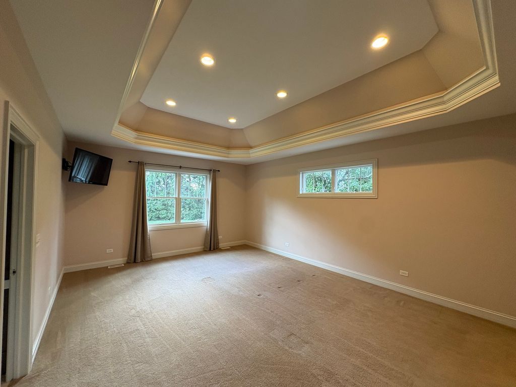 12305 W Donegal Lane, New Lenox, IL 60451 — photo 5