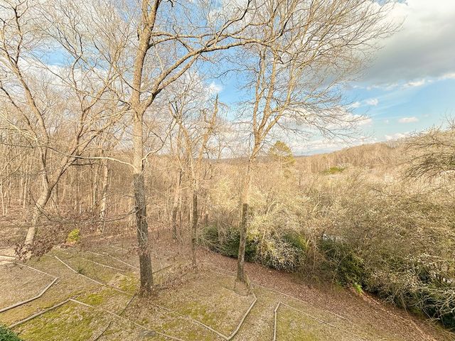 1239 Arabian Drive, Dalton, GA 30721