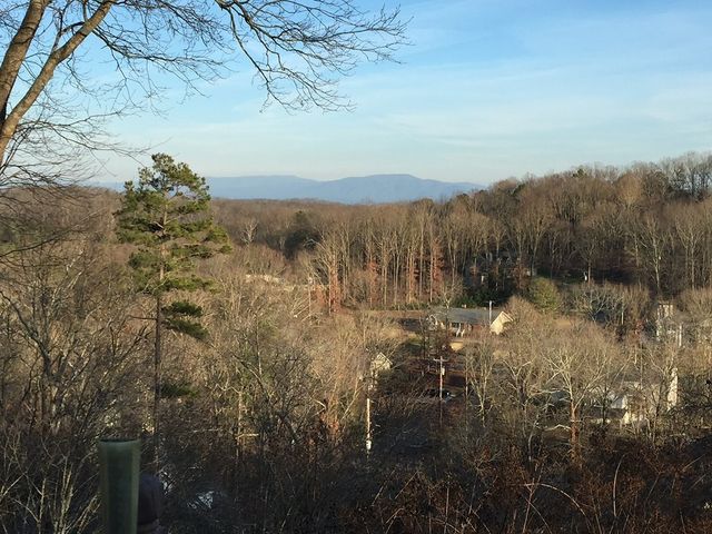 1239 Arabian Drive, Dalton, GA 30721