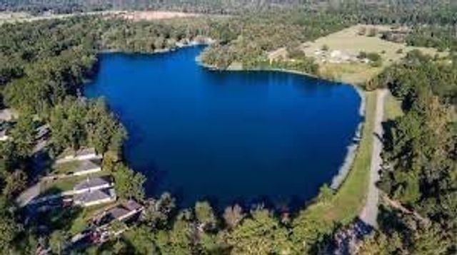 12802 Royal Green Drive, Conroe, TX 77303