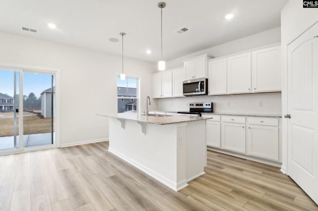 582 Griffon Drive, Chapin, SC 29036