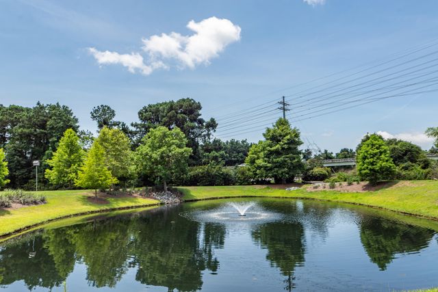 1714 Chatelain Way, Mount Pleasant, SC 29464