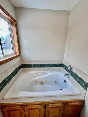 37490 Grand Avenue, North Branch, MN 55056