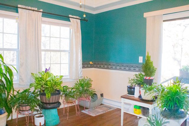 1461 Welch Road, Reeds Spring, MO 65737