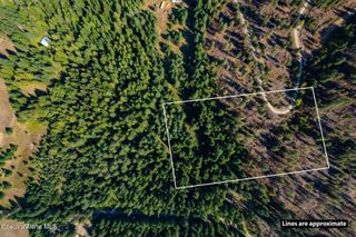 Lot 2A Moose Mountain Rd, Priest River, ID 83856