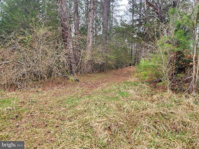 8228 FLIPPO DR, Fredericksburg, VA 22408