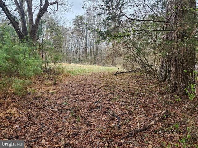 8228 FLIPPO DR, Fredericksburg, VA 22408