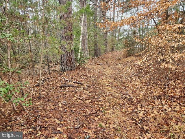 8228 FLIPPO DR, Fredericksburg, VA 22408