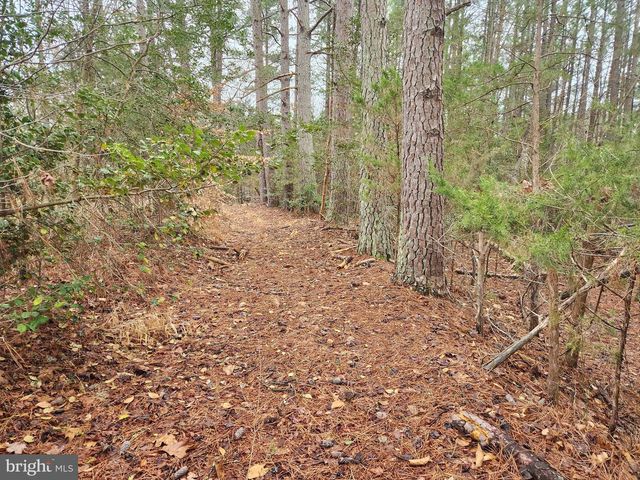 8228 FLIPPO DR, Fredericksburg, VA 22408