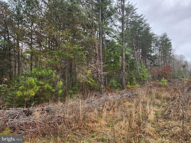 8228 FLIPPO DR, Fredericksburg, VA 22408