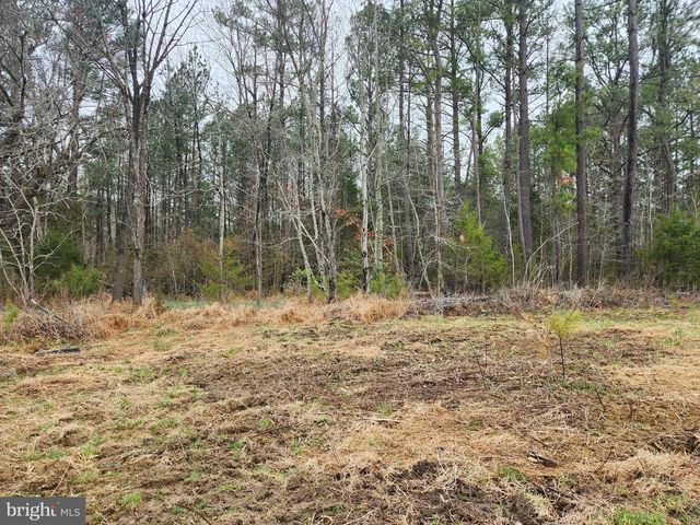 8228 FLIPPO DR, Fredericksburg, VA 22408