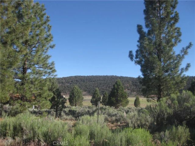 2805 Cedar, Big Bear City, CA 92314