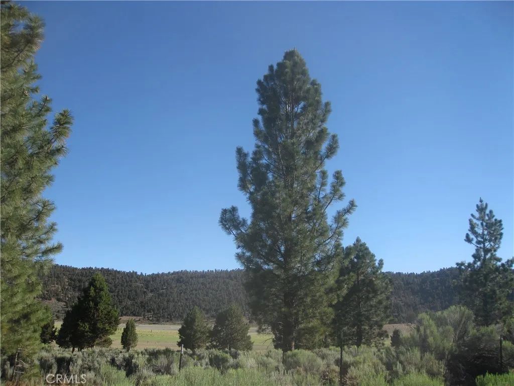 2805 Cedar, Big Bear City, CA 92314