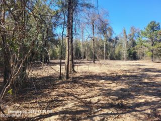 00 Tommy Tucker Road Lot 2, Altha, FL 32421