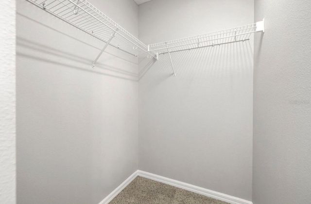 8832 RED BEECHWOOD COURT, Riverview, FL 33578