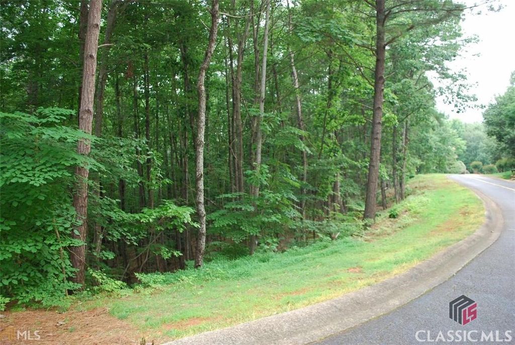 742 Plum Lane, Clarkesville, GA 30523