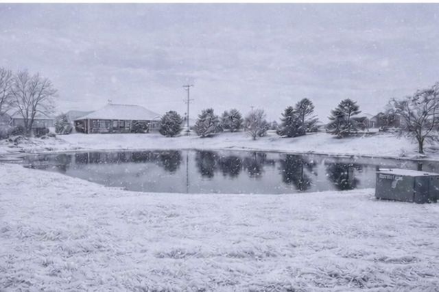 13828 W Crescenzo Drive, Manhattan, IL 60442