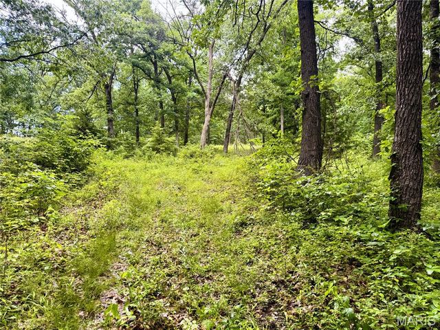 13628 Thornberry Rd., New London, MO 63459