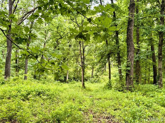 13628 Thornberry Rd., New London, MO 63459