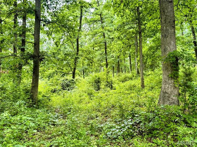 13628 Thornberry Rd., New London, MO 63459