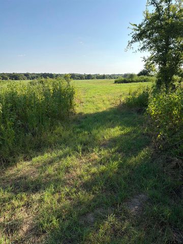 10392 Fm 859, Edgewood, TX 75117