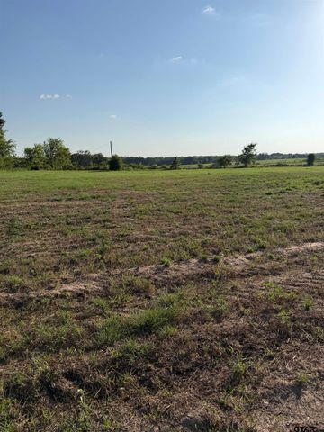 10392 Fm 859, Edgewood, TX 75117