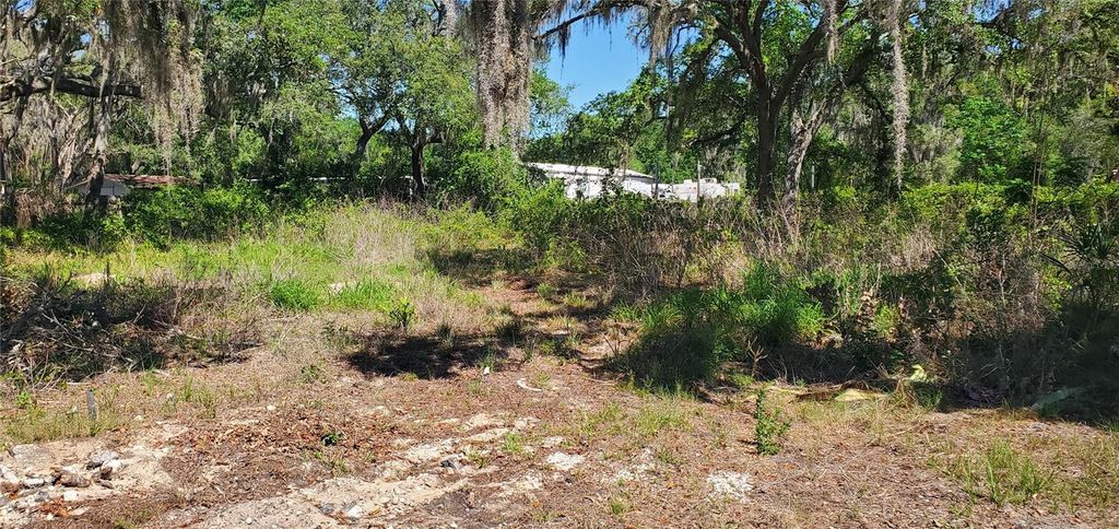 11939 BEMONT AVENUE, New Port Richey, FL 34654