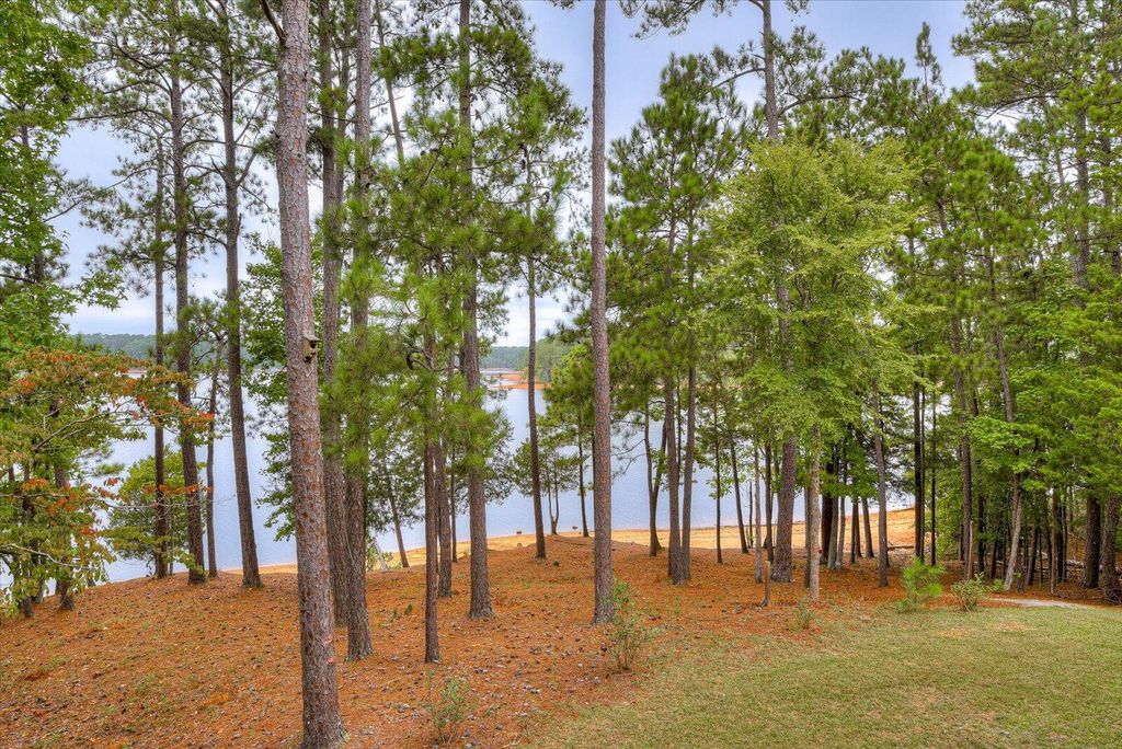 Image 58 of property listing at 184 Brandywine Drive, Mc Cormick, SC 29835