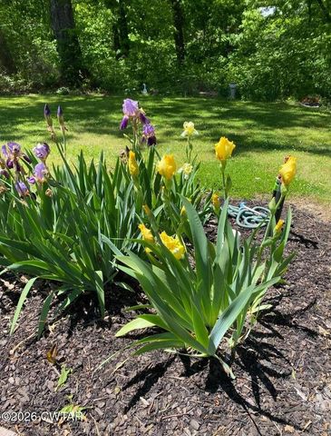 359 Old Bells Rd, Jackson, TN 38305