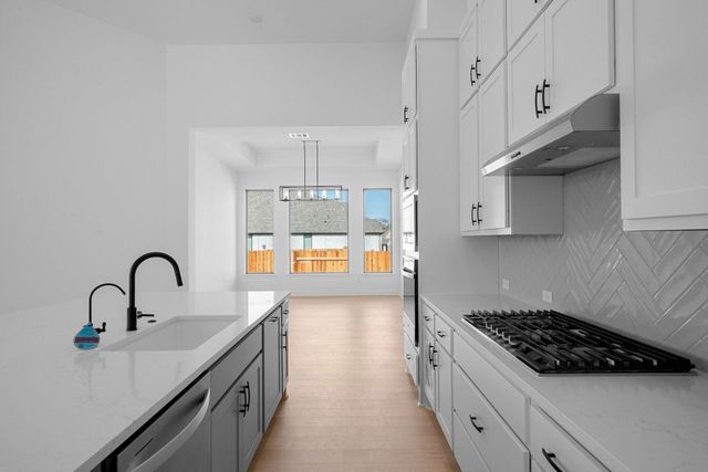 318 Wood Thrush RUN, Kyle, TX 78640