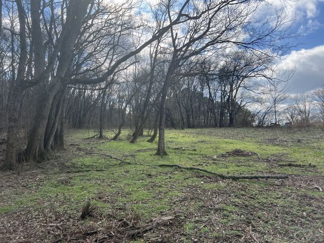 917 1st Ave, Mount Pleasant, TN 38474