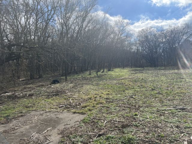 917 1st Ave, Mount Pleasant, TN 38474