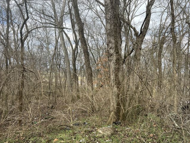 917 1st Ave, Mount Pleasant, TN 38474