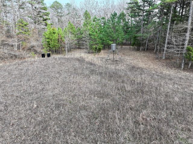 526 S County Road 159, Fremont, MO 63941