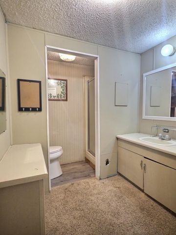 526 S County Road 159, Fremont, MO 63941