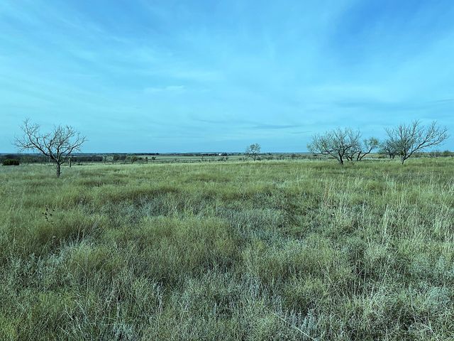 2335 County Road 619, Pottsville, TX 76565