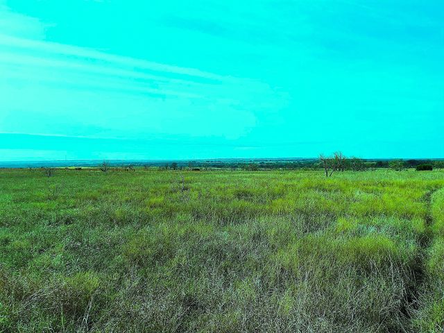 2335 County Road 619, Pottsville, TX 76565