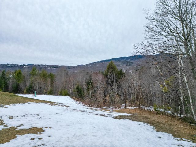 F21 Christmas Mountain Road F21, Bartlett, NH 03812