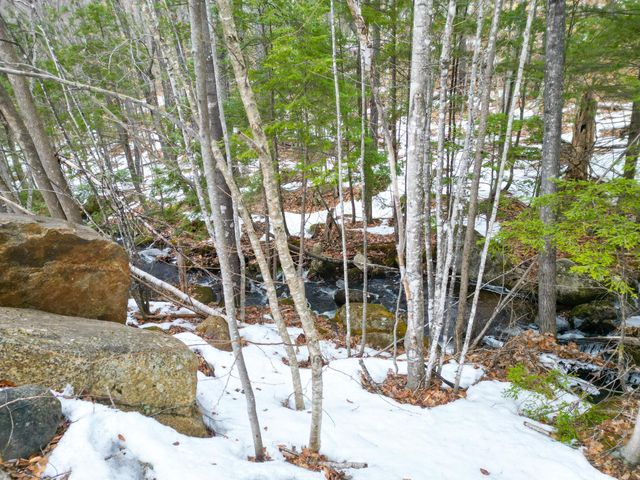 F21 Christmas Mountain Road F21, Bartlett, NH 03812