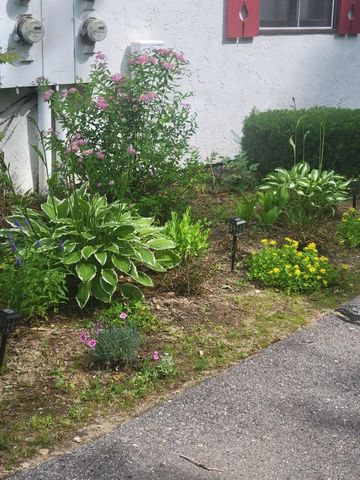 F21 Christmas Mountain Road F21, Bartlett, NH 03812