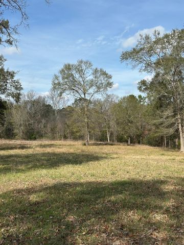 4761 Jackson Road, Montgomery, TX 77316