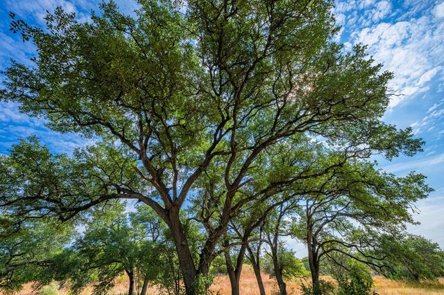 151 Kerr Canyon Pass, Kerrville, TX 78028