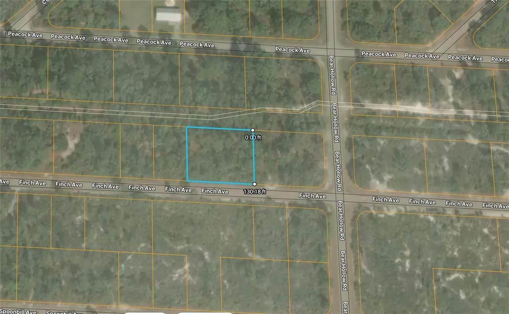3507 FINCH AVENUE, Lake Placid, FL 33852