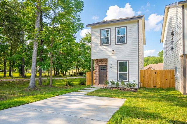 15301 Coaltown Road, Willis, TX 77378