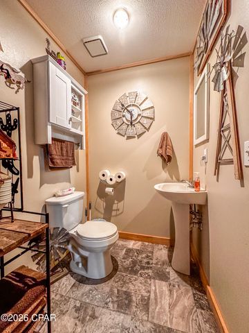 23451 NW Black Bottom Road, Altha, FL 32421