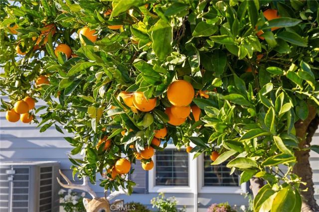 40848 Laredo, Cherry Valley, CA 92223